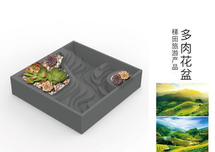 梯田旅游 融合自然與文化的獨特體驗