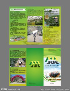 農業產品融合旅游 開啟田園體驗新篇章