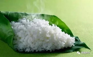 魚臺大米品牌崛起 谷物種植的科學與文化之道