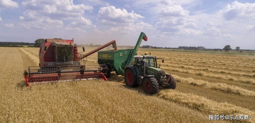 進口美國大豆 透視我國農業戰略與全球市場聯動