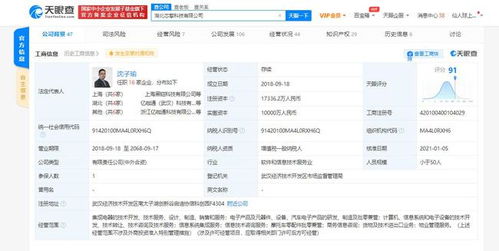 芯擎科技引領(lǐng)7nm車(chē)規(guī)級(jí)芯片創(chuàng)新，專(zhuān)利布局助力數(shù)據(jù)處理與存儲(chǔ)效能提升