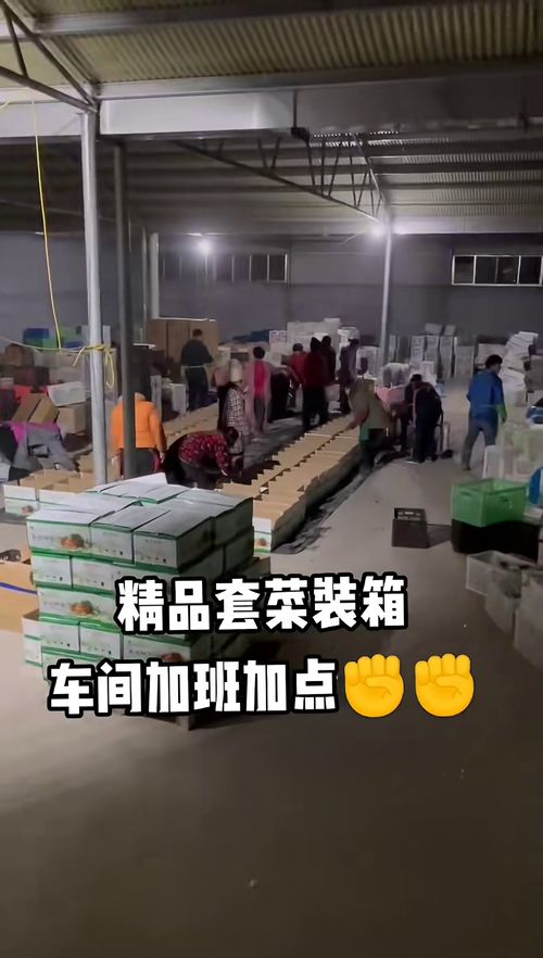 全國無縫隙發貨,精品套菜裝箱